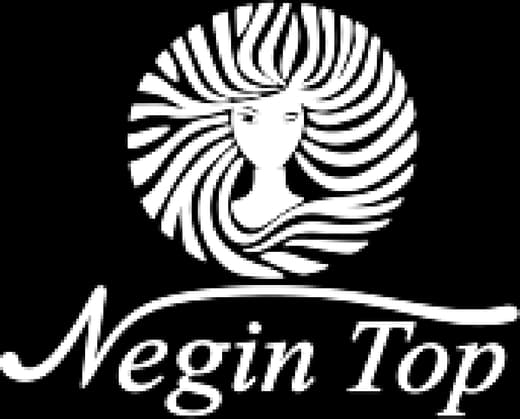 NEGIN TOP Logo